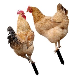 Totority 2Pcs Garden Chicken Stakes Adorable Acrylic Art for Outdoor Decor Rustic Patio Decoration Durable Lawn Ornament for Flower Pots and Parks