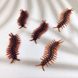 Halloween event bug models party decorations decorating April Fool's Day centipede prank fake / 할로윈 이벤트 벌레모형 파티 장식 꾸미기 데코 만우절 지네 장난 가짜