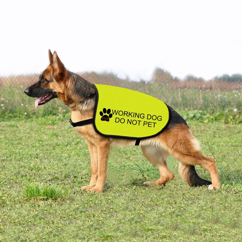 Working Dog Jacket Vest Do Not Pet Dog Vest Dog
