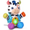 VTech Lights and Stripes Zebra