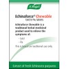 A.Vogel Echinaforce Chewable Cold & Flu Tablets | Relieve Cold