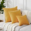 Topfinel Set of 2 Plain Cushion Covers, Decorative Chenille Cushion