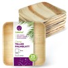 GoBeTree 25 Palm Leaf Plates 18 x 18 cm, Palm