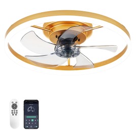 STERREN Modern Gold Ceiling Fans With Lights,20" Dimmable Flush Mount Low Profile Ceiling Fans with Remote Control,Indoor Smart Ceiling Fan With Light for Bedroom