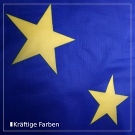 INQUARK 90 cm x 150 cm Polyester Flag with Brass Eyelets Sports Fan Item Flag Football World Cup European Championship Handball Game Decorative Interior Garden Balcony (L-EU, 90 cm x 150 cm with