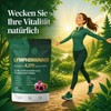 MISSECO 21 Pflanzen Komplex Löwenzahn Echinacea Klette 240 Softgel Kapseln