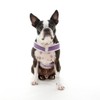 Gooby Simple Step in III Harness - Purple, Small -