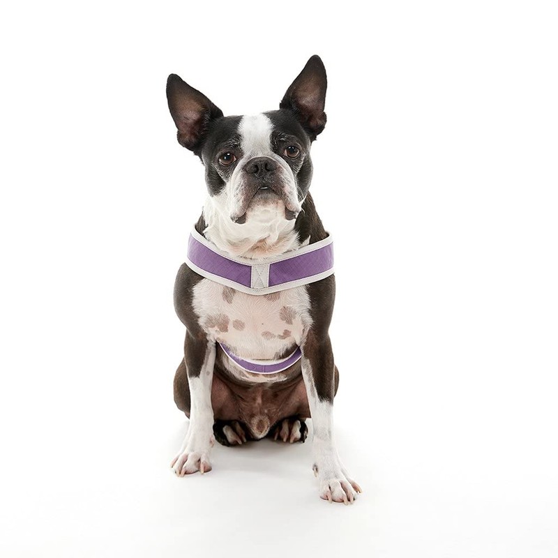 Gooby Simple Step in III Harness - Purple, Small -