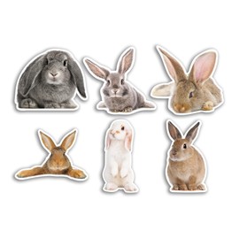 6 x 10cm Rabbit Vinyl Stickers - Bunny Funny Animal Pattern Nature Pets Face Wild Girls Boys Travel Scrapbooking #80815