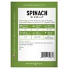 Gardeners Basics, Spinach Seeds for Planting (Viroflay) is A Great