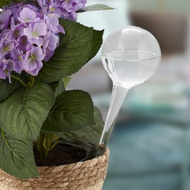 Relaxdays 2 x Watering Balls, Dosed Plants Watering, Flower Pot, Watering Aid Office, Holiday, Glass, Diameter 9 cm, Transparent