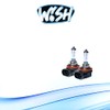 Wish® H8 LongLife PGJ19-1 12 V 55 W Halogen Bulbs
