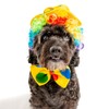 Midlee Clown Dog Costume Hat Wig & Bowtie