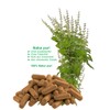 26700-120 Tulsi Basic, 120 Capsules, Holy Tulsi Basic, Ayurveda "Indian