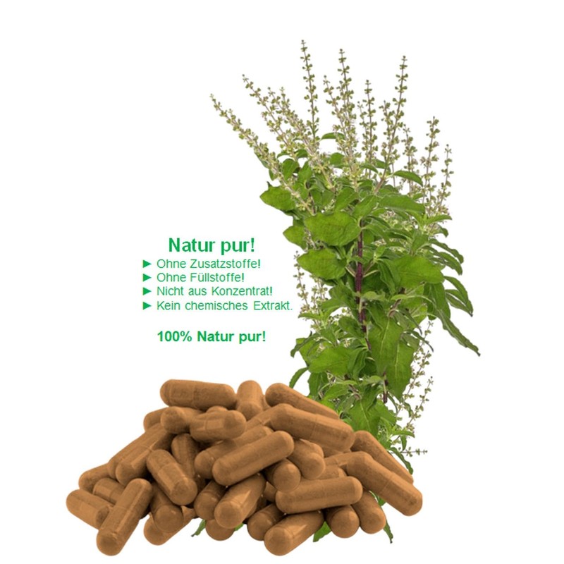 26700-120 Tulsi Basic, 120 Capsules, Holy Tulsi Basic, Ayurveda "Indian