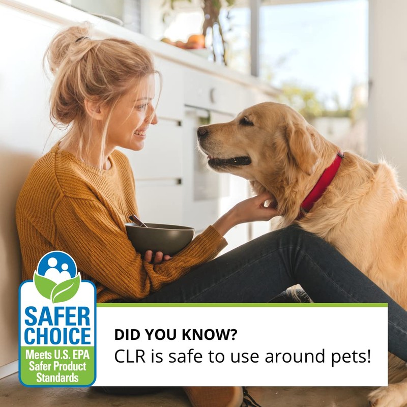 CLR Everyday Clean Multi Purpose Cleaner, Clean Lemon, 22 Ounce