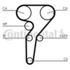 Contitech Timing Belt CT1149