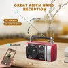 LEOTEC AM FM Radio, Portable Bluetooth Radio, Plug in Wall
