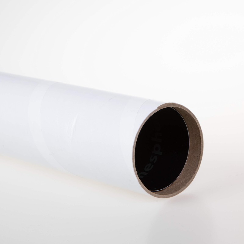 ZYNQUISTA Beaver Stadium Whiteout Poster