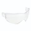 Lots of Lacquer Protection Face Shield Antifog Lens Accessory for