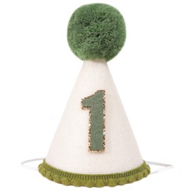 Wild One 1st Birthday Cone Hat - Greenery First Birthday Party Hat for Baby Boys,Olive 1st Birthday Party Crown. (Green and Linen 1st Birthday Party Crown)