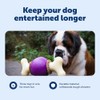 PetSafe Busy Buddy Bouncy Bone Dog Toy, Small