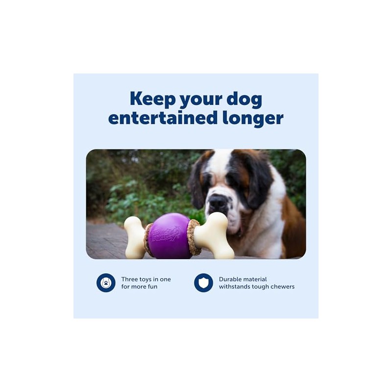 PetSafe Busy Buddy Bouncy Bone Dog Toy, Small