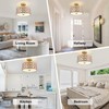 DLLT Flush Mount Ceiling Light: Modern 3-Light Semi Flush Mount