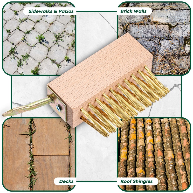 SCRUBIT Moss & Weed Remover Wired Grout Cleaner Brush, Great