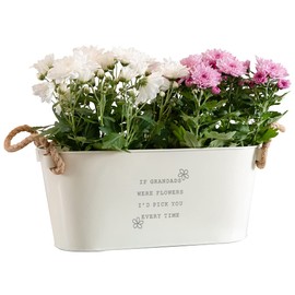 Engraved Flower Pot 'If Grandads Were Flowers I'd Pick You' - Unique Indoor Outdoor Herb Planter - Fathers Day or Birthday Gift for Grandad from Granddaughter Grandson - Medium Planter