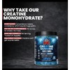 Creatine Gummies 5000mg Per Serving – BCAA 1000mg + Vitamin