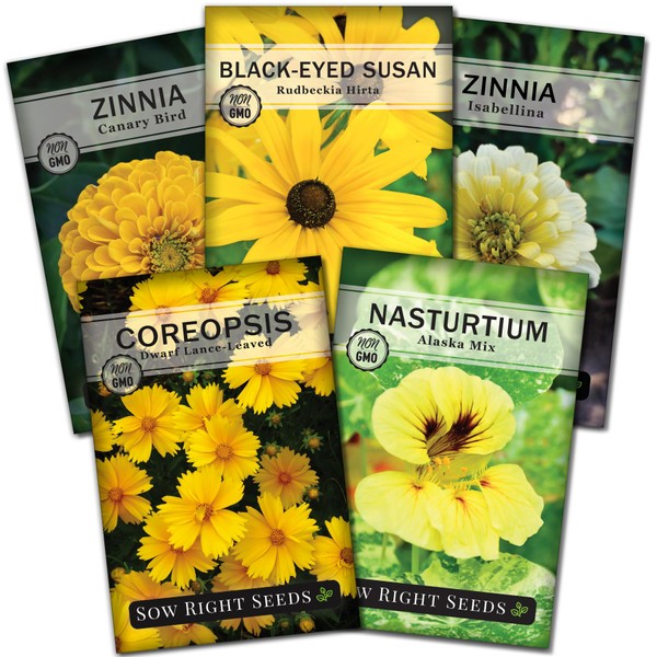 Sow Right Seeds - Collection of Yellow Flower Seeds for