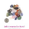 The Bead Shop Polished Tumblestone Gemstones, Pocket Reiki Chakra, Medium