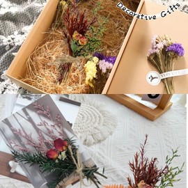 CROISSANT Mini Dried Flower Bouquet 12PCS, Mixed Natural Mini Dried Flowers Bundles,Dried Flower Mixed Bouquet Suitable for Handmade DIY Greeting Card Decoration,Multi-Purpose Craft Mini Flowers