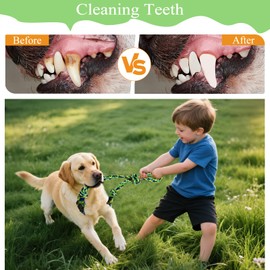 IAIGOGO Dog Bungee Tug Toy,Interactive Outdoor Tether Ball Rope Toy with Stake for Small & Medium Dogs, Durable Tug of War Toy for Yard, Park, Camping