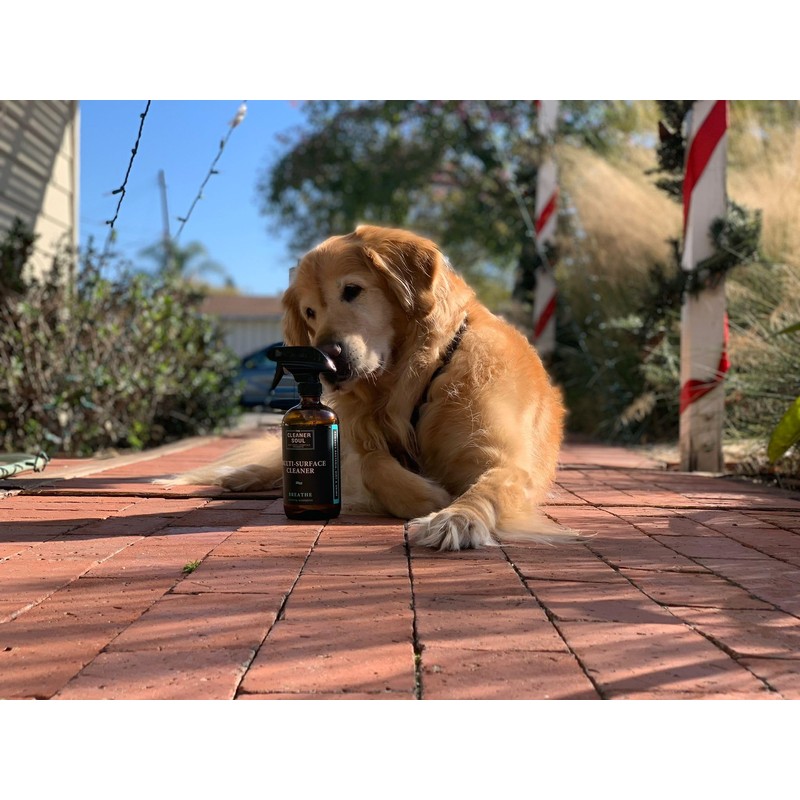 4 Refills - Natural All-Purpose Cleaner Concentrate Essential Oils, Glass