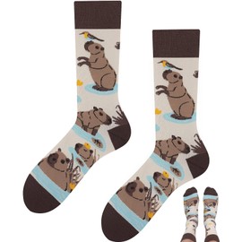 TODO Colours Funny Socks with Motif - Multicoloured, Colourful, Crazy for the Joy of Life, capybara socks