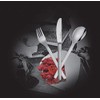 ZWILLING Zwilling "Hanseatic Menu Spoon" Tableware Cutlery Dinner Spoon [Officially