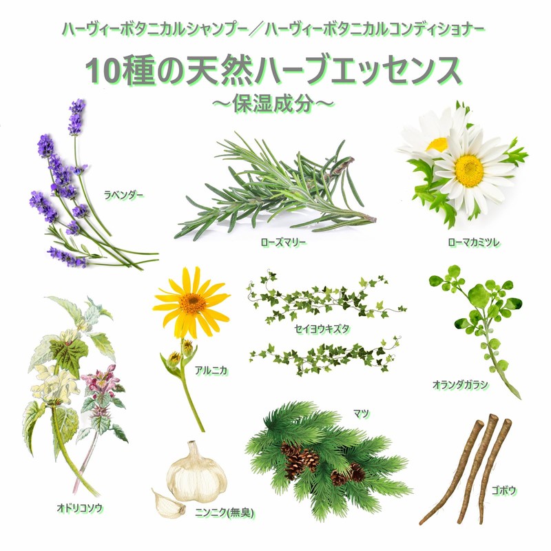 HERBEE Botanical Conditioner Refill 28.7 fl oz (800 ml) (Green