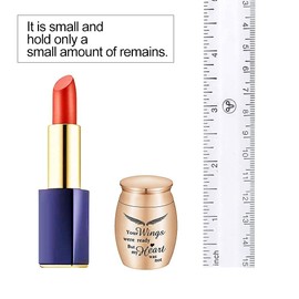 QGJNSGC Small Keepsake Urns for Ashes Mini Cremation Urns for Ashes Memorial Ashes Holder for Pet Ashes Cremation Keepsake