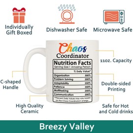 Breezy Valley Chaos Coordinator Mug Gifts for Women Men, Appreciation Gifts for Coworkers Leaving Gifts, Boss Coworker Christmas Gifts, Thank You Goodbye Going Away Farewell Gifts for Coworkers