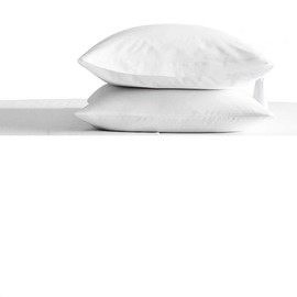 trendbeddingmart TBM 2PC Pillow Case Queen Luxury 100% Egyptian Cotton 800 Thread Count(Queen Pillowcase, White)