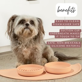 Should We Go? The Perfect Dish - Durable Dog Water Bowl - No Spill - Less Mess Non-Tippable Water & Food Bowl, Pure Silicone, Spill Proof with Suction Cup, Suitable for All Pets, Small-Sage