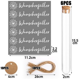 BOFUNX 6pcs Wish Filler Money Gift Transparent Test Tubes with Corks and 6pcs Wish Filler Dandelion Pattern Pendant for Christening Birthday Confirmation Communion, Youth Consecration Wedding