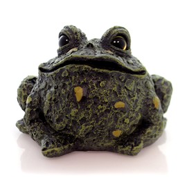 Home & Garden TOAD SMALL Polyresin Toad Hollow 99889 Green