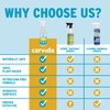 Carvida Vinegar Cleaner, Plant-Based, Multi-purpose Automotive Cleaning Spray, Natural Mint