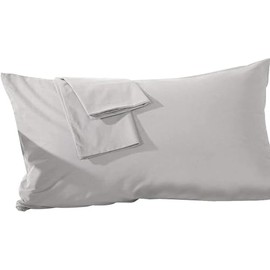 Pillowcase 16 x 22 Inch, Egyptian Cotton Set of 2 Pillowcase Zipper Closure 600 Thread Count Count - Travel 16x22 Zipper, Silver Solid