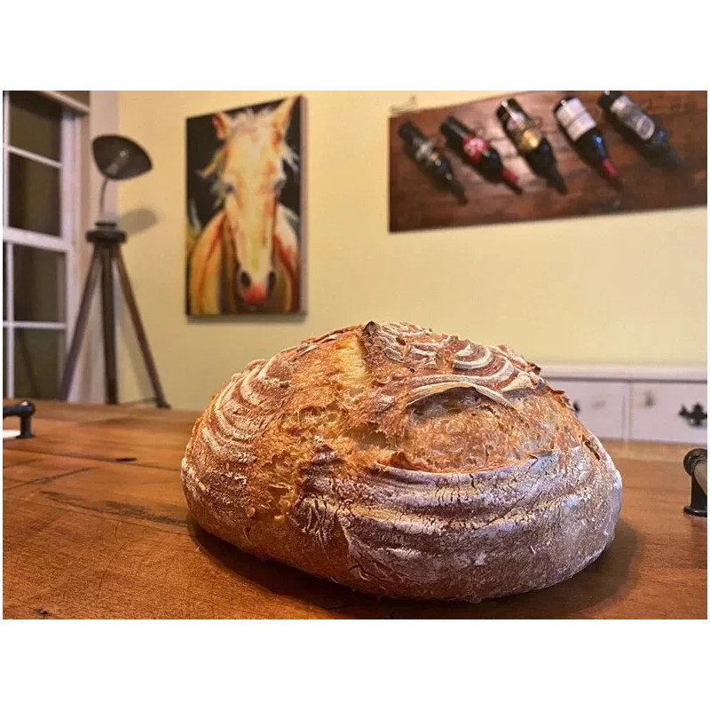 Heritage Sour SAN FRANCISCO SOURDOUGH STARTER DEHYDRATED ACTIVE STRONG SOUR