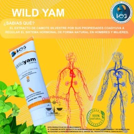 Camote Silvestre Crema Ives Evolution México Wild Yam 2 Pack                                                                                          
