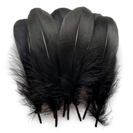 Sowder Natürliche Gänsefedern Bekleidungszubehör 100 Stück Schwarz